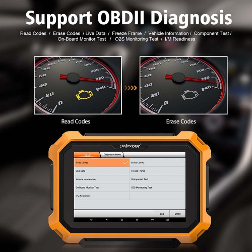 [UK/EU Ship] OBDSTAR X300 DP PLUS C Package Full Version Powerful Immo&Mileage Correction Tool with Renault Conventor and FCA 12+8 Adapter