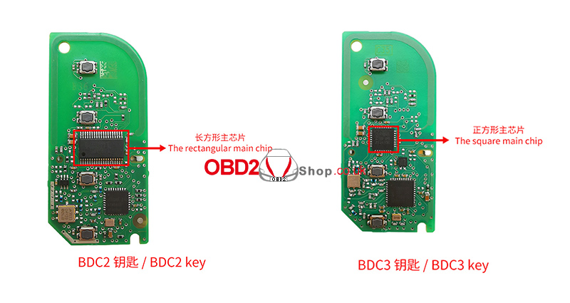 bdc2 and bdc3